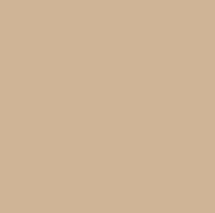 8205 Trenchcoat